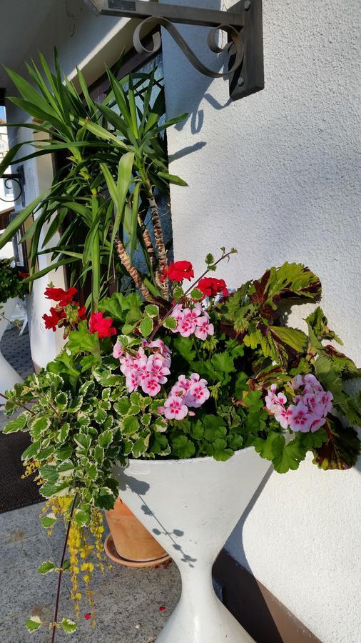 ורמנסטיינאך Hotel-Pension Dressel מראה חיצוני תמונה